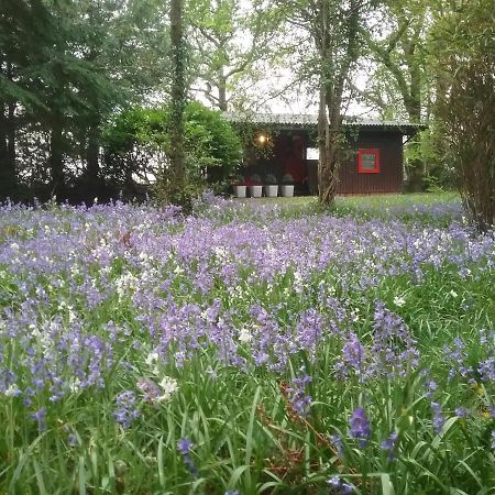 Caban Cwtch Villa Cenarth ภายนอก รูปภาพ