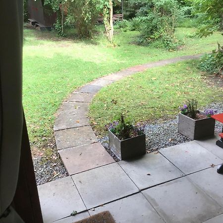 Caban Cwtch Villa Cenarth ภายนอก รูปภาพ