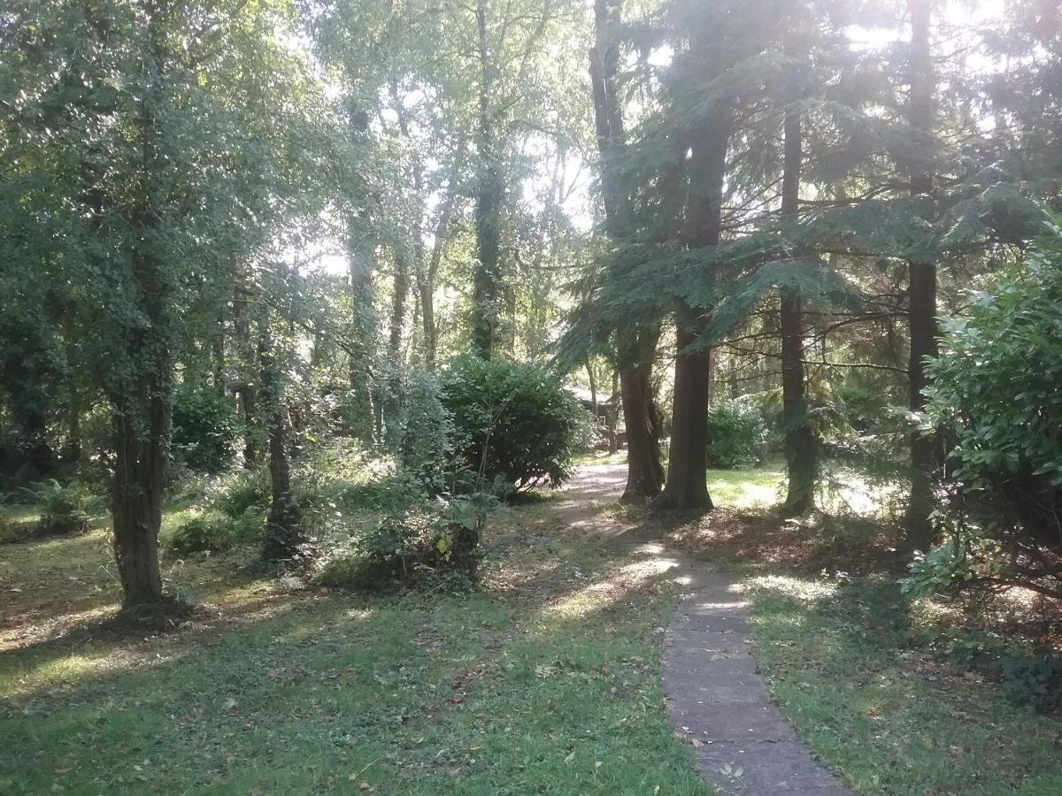 Caban Cwtch Villa Cenarth ภายนอก รูปภาพ