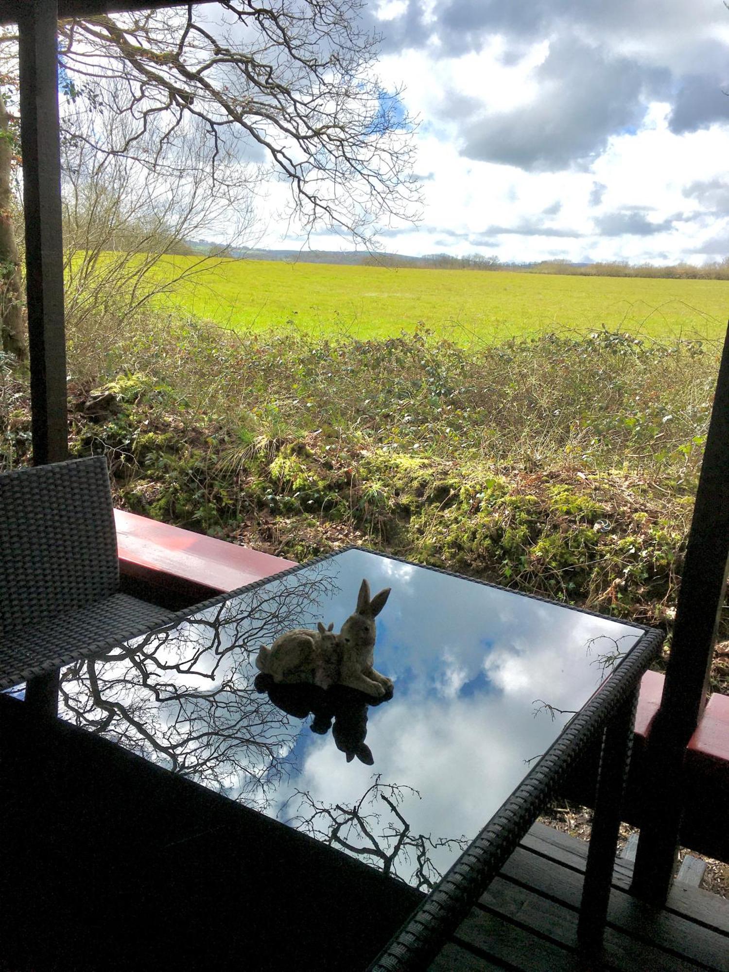 Caban Cwtch Villa Cenarth ภายนอก รูปภาพ